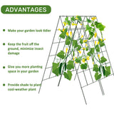 AGTEK 2 Packs 18" x 46" Foldable Cucumber Trellis for Cucumber, Climbing Plants, Vegetable Flowers