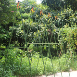 G-LEAF Garden Stakes 4 ft Plastic Coated Steel Tube Sturdy Metal Plant Sticks for Tomato,Cucumber,Bean,Tree,Pack of 50