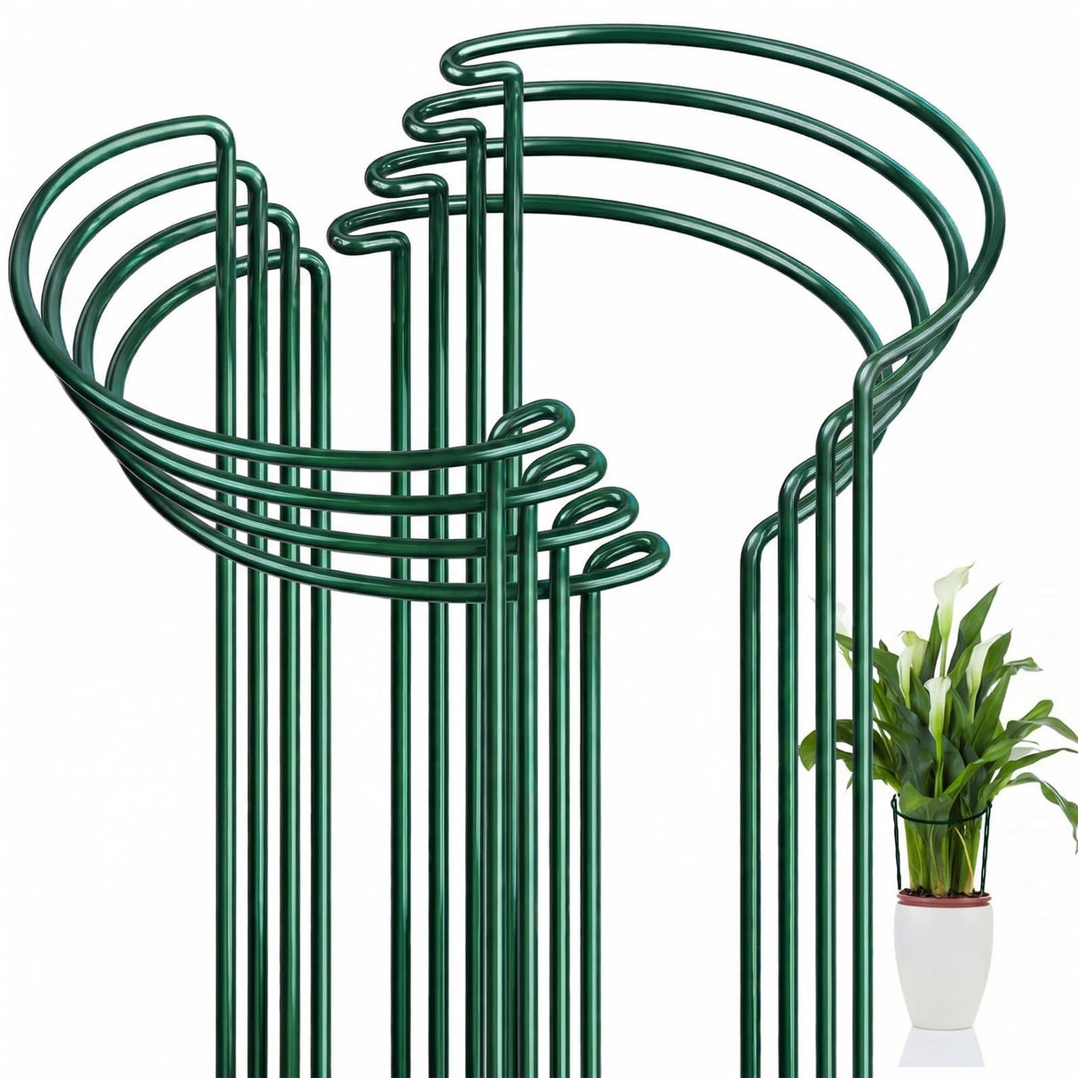 FEED GARDEN 8 Pack Peony Cages and Supports, Plant Support Stakes for Outdoor & Indoor Plants, 10" W x 16" H Half Round Garden Plant Support Rings for Peonies, Hydrangeas, Roses, Dahlias