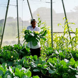 Garden Netting Pest Barrier: Ultra Fine 15'x20' Bug Netting