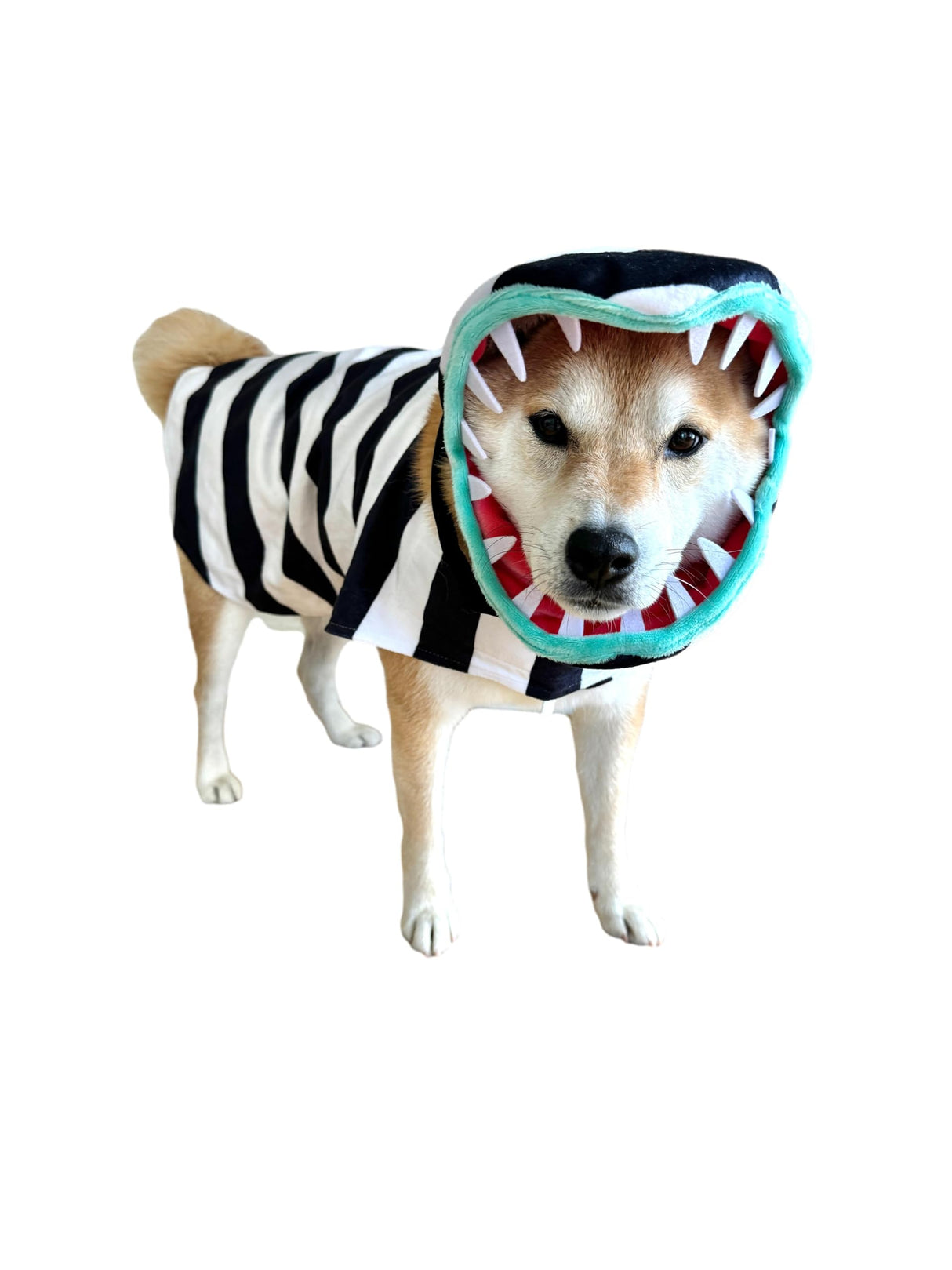 ComfyCamper Snake Costume for Dogs - Small Medium Large XLarge XXL Cosplay Halloween Costumes Christmas, L