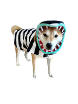 ComfyCamper Snake Costume for Dogs - Small Medium Large XLarge XXL Cosplay Halloween Costumes Christmas, L