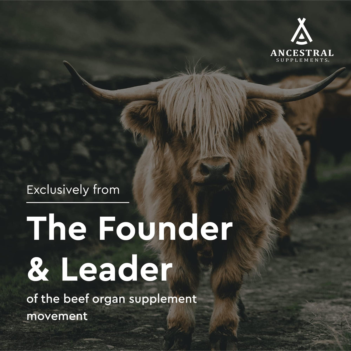 Ancestral Supplements Grass Fed Beef Spleen Supplement, 3000mg Beef Organ Spleen Support Formula Promotes Digestive, Immune, Iron, Energy and Allergy Health, Non GMO, 180 Capsules