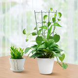 HiGift 4 Pack 24'' Plant Trellis for Climbing Plants Indoor, Outdoor Metal Garden Trellis for Climbing Plants, Metal Plant Stakes Plant Trellis for Houseplant Vine Ivy Flowers