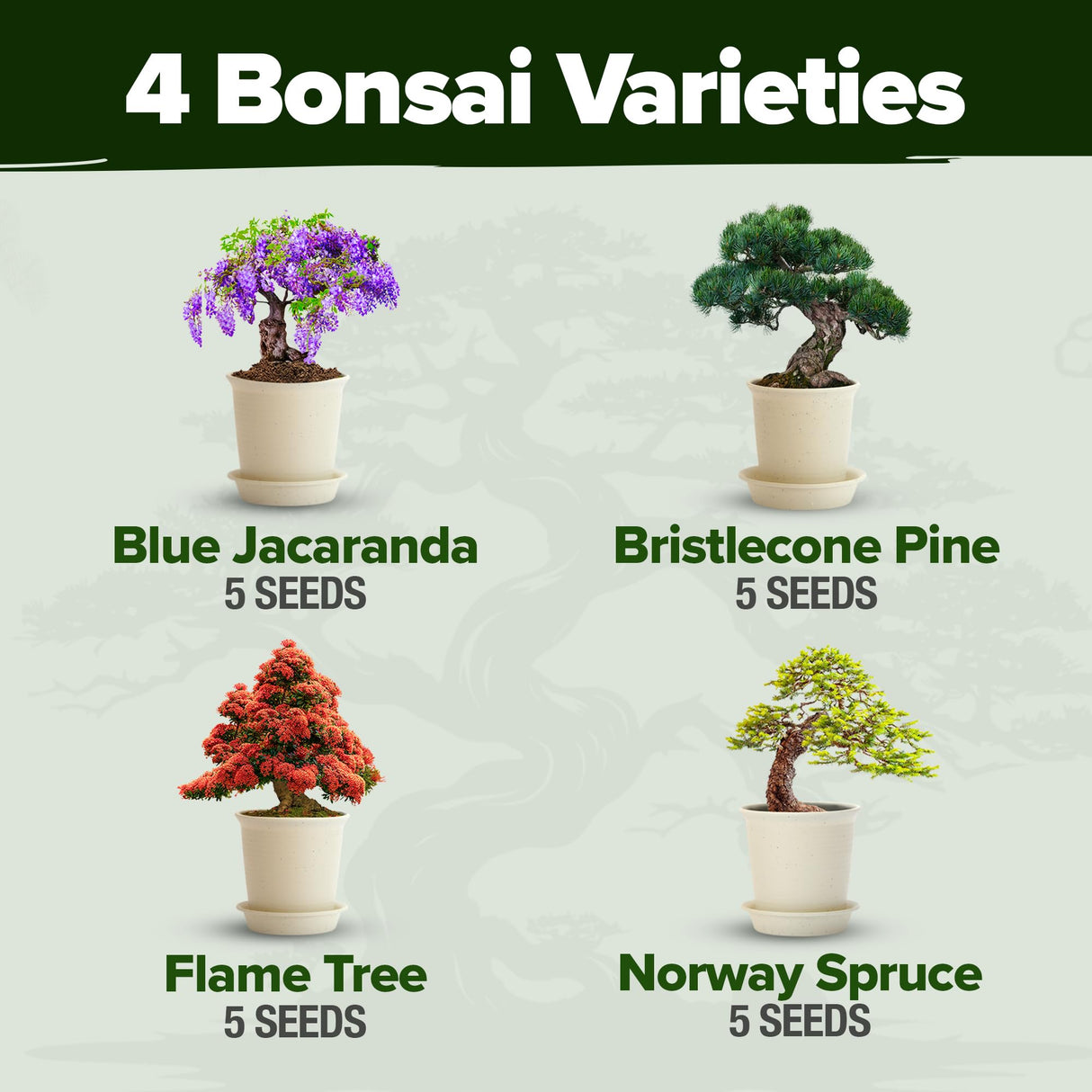 Bonsai Tree Kit 𝗨𝗦𝗔 Gifts for Men & Women - Grow 4 Bonsai Trees - Unique Gardening Crafts for Adults, DIY Hobbies for Plant Lovers & Gardeners - Unusual Christmas Gift Ideas for Mom & Dad