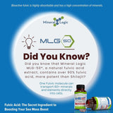 Power By Naturals Sea Moss Advanced with Black Seed Oil & Elderberry Capsules - Certified Organic Irish Sea Moss Capsules for Energy, Gut & Immune Support - Sea Moss Pills with (60+ Minerals) 60 Pills