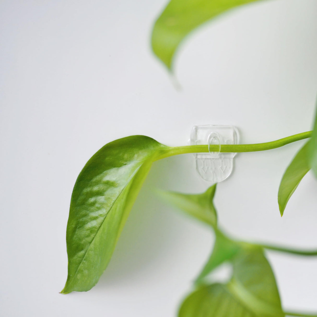 MOVELYST 240 Mini Clear Light Clips with 300 Adhesive Strips, Damage-Free Indoor Mini Wall Hooks for Hanging, Removable Clips for Christmas Decoration