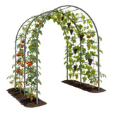 Anleolife 4x6ft Galvanized Garden Arch Trellis, Raised Beds and Vines