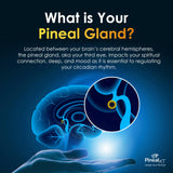 Nutraville Pineal XT Gold - Pineal Gland Supplement - Third Eye Awakening - Focus and Memory Supplement for Brain - 7 Powerful Ingredients Decalcify, Detox, and Activate Your Pineal Gland, 2 Pack