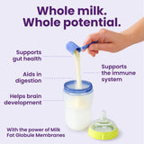 Bubs Whole Goat Milk Infant Formula for 0-12 Months, Non-GMO Milk, 20 oz