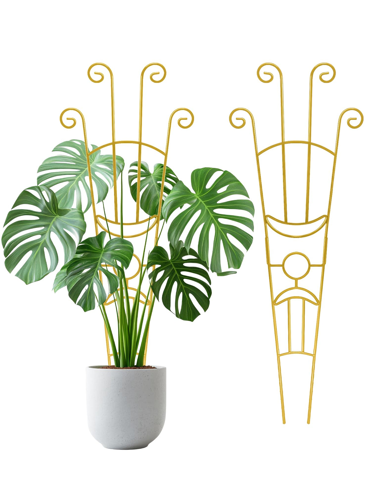 2Pcs Large Metal Trellis for Potted Plants Indoor, 33 Inch Tall Expandable Garden Trellis for Climbing Plants, Houseplant Support for Monstera, Ivy, Hoya Flower Outdoor (Gold)