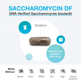 XYMOGEN Saccharomycin 10B - Stomach Acid-Resistant, DNA-Verified Saccharomyces boulardii - Dairy Free Yeast Probiotics for Gut Support & Immune Health - Formerly Saccharomycin DF (60 Capsules)