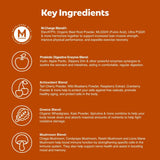 L'Evate You Vitality Daily Greens Powder (28 Servings) 30 Superfoods, 9 Greens - for a Cellular Energy Boost, Powered by M-Charge Complex for All Day Energy (Chocolate)