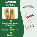 65 Pcs Bamboo Plant Stakes 5 Feet, Oltara Natural Bamboo Sticks Garden Stakes for Climbing Plants Support, Potted Plants, Vegetables, Tomatoes, Beans, Flowers, Trees