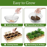 LUOJIBIE Indoor Herb Garden Kit, Complete Herb Starter Growing Kit with Seeds & Tools, Christmas Birthday Gifts for Women Men Mom Dad, House Warming New Home Kitchen Gifts for Girls Boys Plant Lovers
