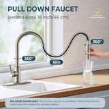 FORIOUS Kitchen Faucet with Pull Down Sprayer, Brushed Nickel High Arc Modern Classic Sink Faucet Stainless Steel with Deck Plate Fit for 1 or 3 Hole for Pot Filler Bar Farmhouse Laundry Rv