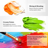 Caliart Acrylic Paint Set of 36 Colors with 12 Brushes