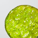 LACOSTE L.12.12 Blanc Eau De Parfum for Men - Father's Day Gift