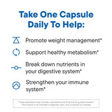 Daily Nouri Weight Support Probiotic for Women & Men | Supports Healthy Weight Management, Metabolism, Digestion & Gut Health | 3 Clinically Studied Strains + Vegan Omega Oil | 30-Day Supply