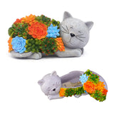 Fashionoda Outdoor Cat Key Hider Statue - Cute Succulent Hide a Key Outdoor Decorative - Small Gift Box for Women, Home Decor & Cat Gifts