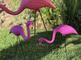 GiftExpress 12 Pack Pink Flamingos Yard Decorations - Small 14" Tall Plastic Flamingo Statue w/Metal Stakes - Lawn Ornaments & Garden Decor for Outdoor Parties