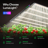 VIVOSUN LumaLight 500W LED Grow Light, Full Spectrum Indoor Plant Light with Deep Canopy Penetration, Smart Dimmable LED Bar Lamp for Vegetables, Herbs, Flowers, 4x4ft Coverage, GrowHub Compatible