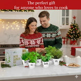 Deluxe Indoor & Outdoor Herb Garden Kit – 8 or the Most Popular Culinary Herbs with Pots & Soil for Windowsill or Patio Growing