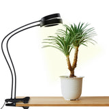 OSANI LED Grow Light 24" Gooseneck Long Arm Grow Lights for Indoor Plants, 48" Wide Coverage, 6000K Full Spectrum with Red Blue LEDs, 10-Level Dimmable, Auto Timer, USB & Adapter, Plant Light Indoor