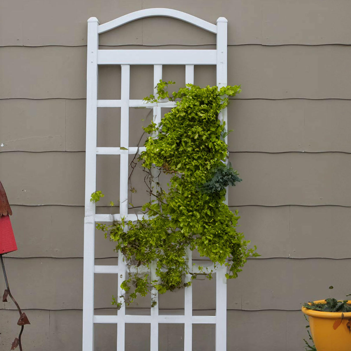 Dura-Trel Cambridge Wall Mounted Garden Vinyl Trellis, 28" x 75", White