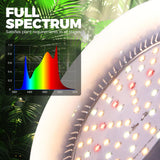 Barrina Hanging Grow Lights for Indoor Plants, 25W Full Spectrum, with Timer and 16.4FT Power Cord, Pendant Plant Lights for Indoor Growing, Large Tall Plant, Garden, Flowers, Greenhouse