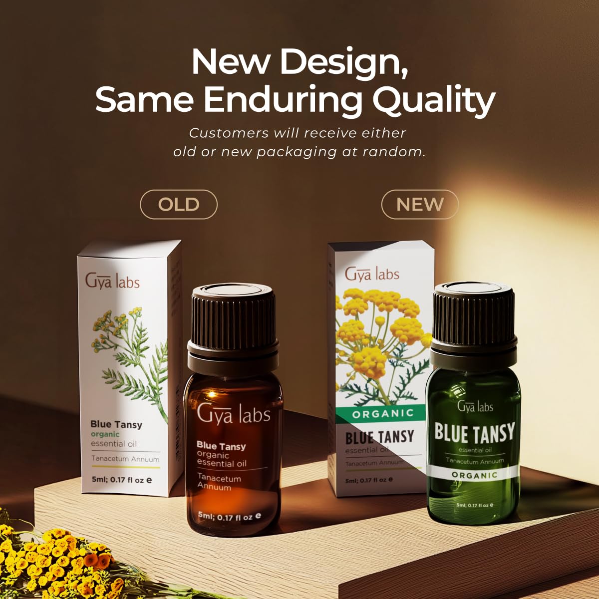 Gya Labs Blue Tansy Essential Oils for Skin - 100% Pure Natural Organic Blue Tansy Oil for Face, Diffuser, Candle Making (0.17 Fl Oz)