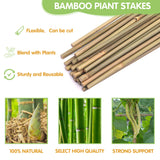 GAGINANG Natural Bamboo Garden Stakes, 4FT Trellis Plant Support 25Pcs