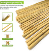 Jollybower 1/2" D 4.75 Feet Bamboo Stakes 50 Pack, Thicker Heavy-Duty Plant Stakes, Natural Garden Stakes for Bean, Tomato, Bean, Flowers,Trees Potted and Climbing Plant Support