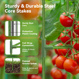 SOUNDVALUE 3 Pack Tomato Cage with 10 Gallon Grow Bag for Garden Balcony