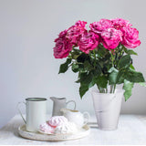 Sadnyy 12 Pack Metal Buckets with Handle, Galvanized Bucket 4.5 x 5 Inch Basket Bucket Party Supplies, Crafts for Christmas Halloween Candy Bars Vase Crafts(White)