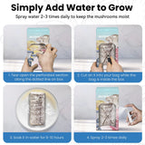 Organic Edible 4lbs Golden Oyster Mushroom Growing Kit, Made in USA, Double-Side Mushroom Grow Kit Indoor, Harvest Gourmet Mushrooms in 10 Days, Top Gardening Gift, Holiday Gift