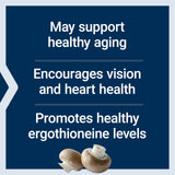 Life Extension Essential Youth L-Ergothioneine – Promotes Longevity & Healthy Aging – Gluten-Free – Non-GMO – Vegetarian – 5 mg – 30 Vegetarian Capsules