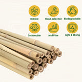 Cambaverd Bamboo Stakes 4 Feet Thicker Garden Stakes with Garden Twine, Diameter of 0.55in Natural Plant Stakes Bamboo Poles for Climbing Plants Support Tomato Cage - 20 Pack Bamboo Sticks for Plants
