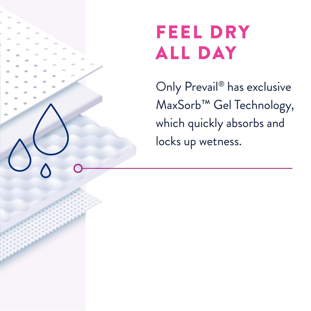 Prevail Proven | Large Pull-Up | Women's Incontinence Protective Underwear | Maximum Absorbency | 72 Count