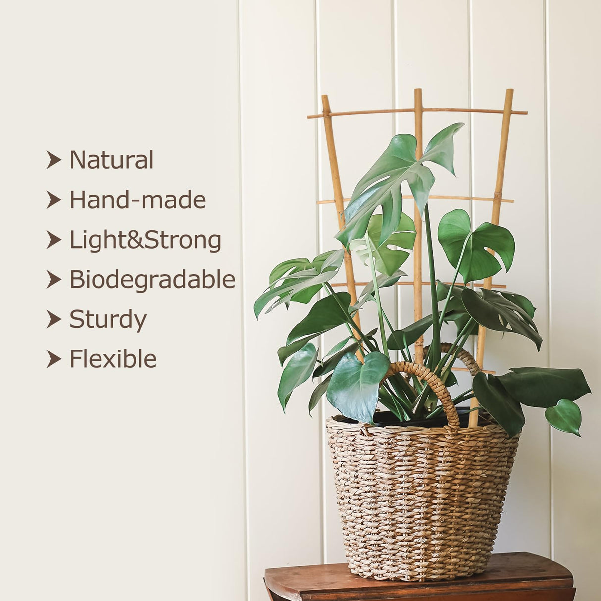 Cambaverd Plant Trellis Indoor, 16in Bamboo Trellises, 6 Pack Small Trellis