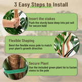 3-in-1 Moss Pole, Bendable 30IN Monstera Plant Support for Indoor-2 Pack