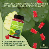 LanranBee Apple Cider Vinegar Gummies with Vitamins B12 Multivitamin ACV Supplement Gummy –Supports Digestion, Energy, Weight Management & Gut Health – Vegan, Non-GMO, Gluten-Free – 120 Count