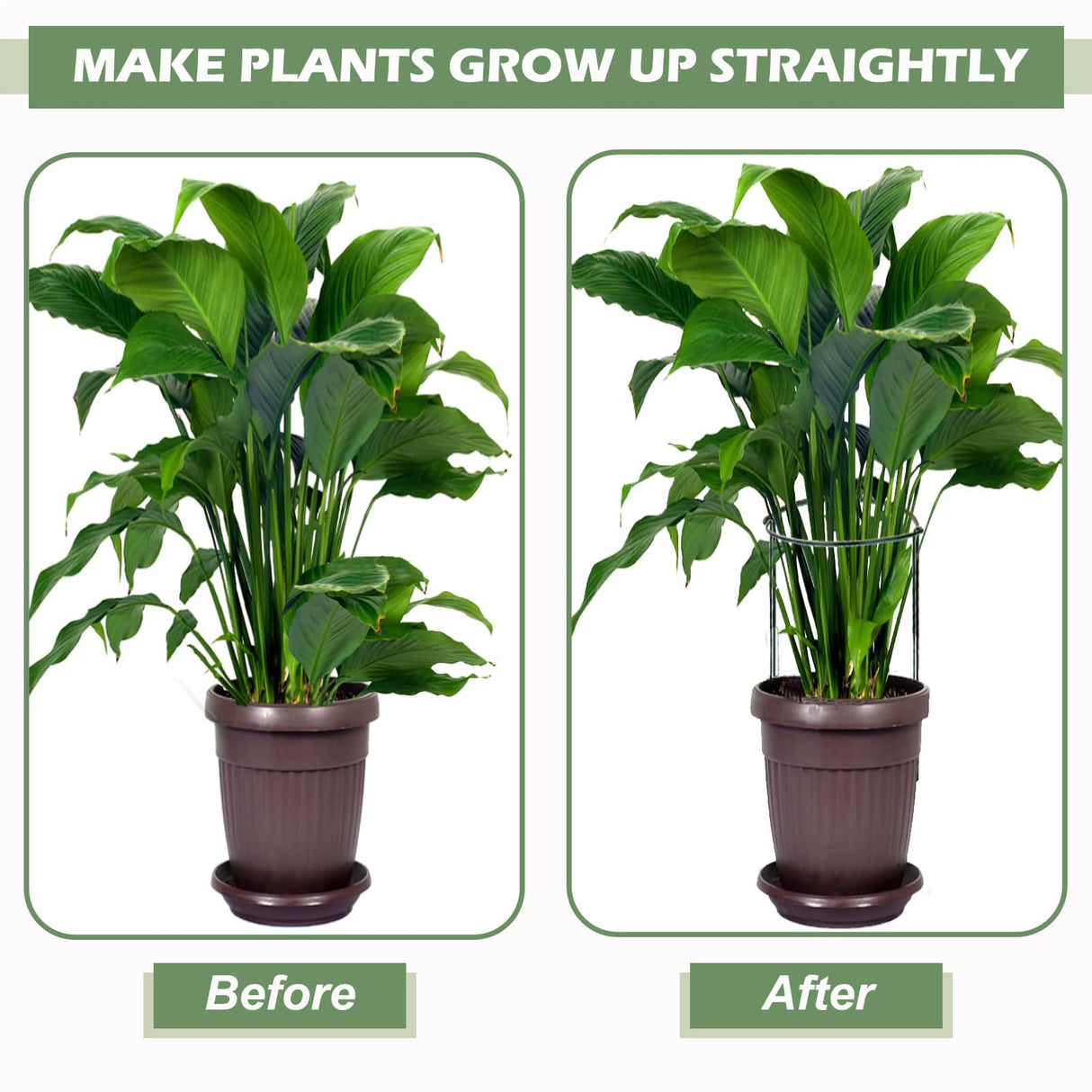 12 Pack Plant Support Stake Peony Cages, 16 Inch Peony Supports for Outdoor Plants, with 15 Pcs Plant Labels, 20 Pcs Plant Clips, 7ft Plant Ties