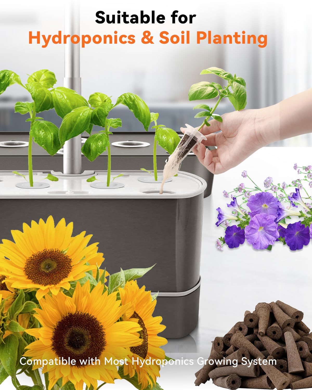 LYKOCLEAN Herb Seed Pod Kit Compatible with AeroGarden Hydroponics Growing System, Complete Indoor Gardening Supply (Vibrant Flower, 8-pods)