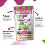 YoGut Freeze Dried Yogurt Snack, Blueberry, 6 Pack, Healthy Snacks for Kids, Toddlers & Adults, Gluten Free, Non GMO, With 5 Billion Live Probiotics, Vitamins & Minerals, Individual Snack Packs