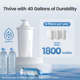 AQUA CREST Replacement for Brita® Filter, Brita® Water Pitchers and Dispensers, Classic OB03, Mavea® 107007, and More, NSF Certified Pitcher Water Filter, 1 Year Filter Supply, 6 Count