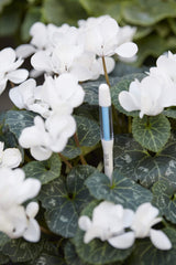 Sustee Aquameter, Set of 5, Plant Soil Moisture Sensor (White, Small)