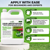 Covington Liquid Lawn Dethatcher (32oz) – Liquid Aerator Concentrate & Humic Thatch Remover, Soil Softener & Grass Thatch Buster for Lawns & Gardens – Kids & Pet Safe, Made in USA