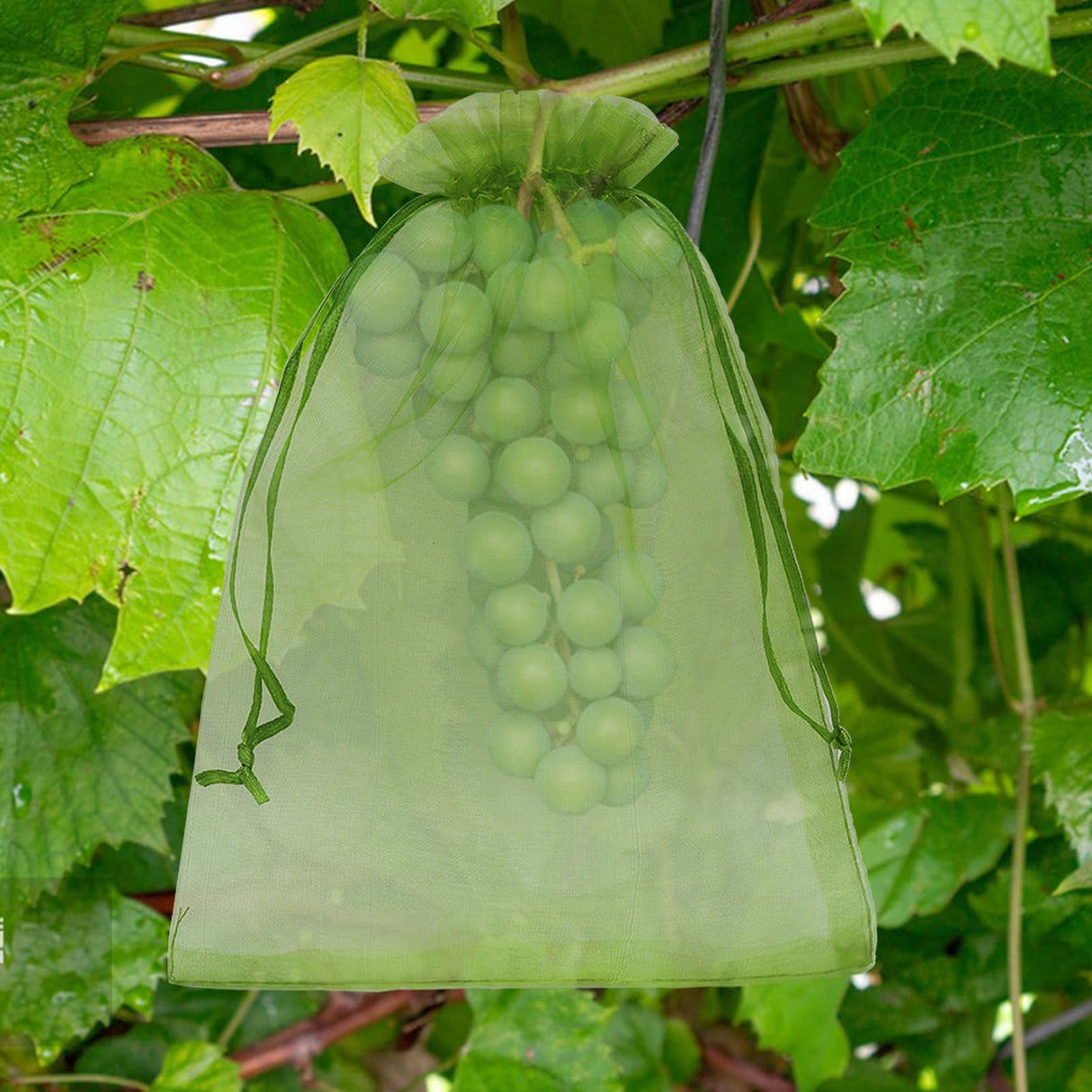 Uigidori 100 Pcs Fruit Protection Bags, 8 x 12 Inch Green Netting Cover Bags with Drawstring, Pest Barrier for Trees, Garden Cover Mesh Bags for Plant Fruit, Flower and Vegetables