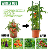 6 Pack Tomato Cage for Garden, 48 Inches Metal Garden Stakes, Plant Support Cages Trellis for Garden and Pots, Tomato Trellis for Potted Plants, Trellis for Climbing Plants Outdoor,Green
